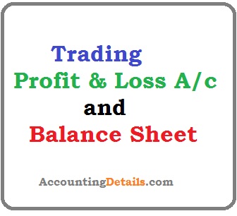 Trading profit and loss balance sheet example